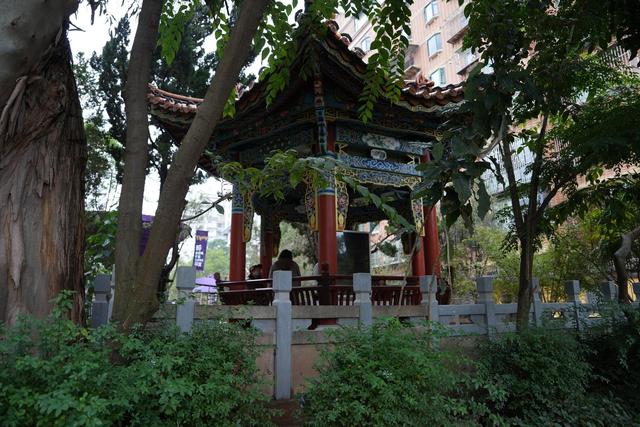 620米空中廊道串起千年风华，翠湖城市绿道展露昆明新脉动