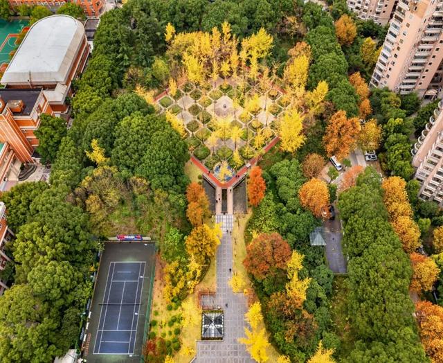 秋冬限定的普陀，美到让人流连忘返，你还不来打卡吗？