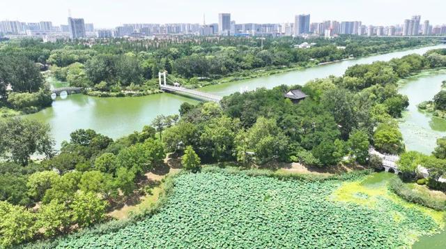 来宿城，打卡我“荷”你的浪漫
