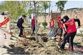 生态宜居 处处皆景图片