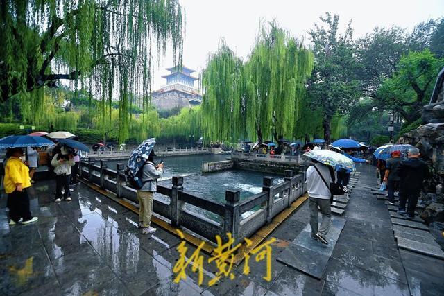 黑虎泉水位创有水文记录以来新高，泉水溢出洞口汇聚成溪引游人惊叹|AI播泉城