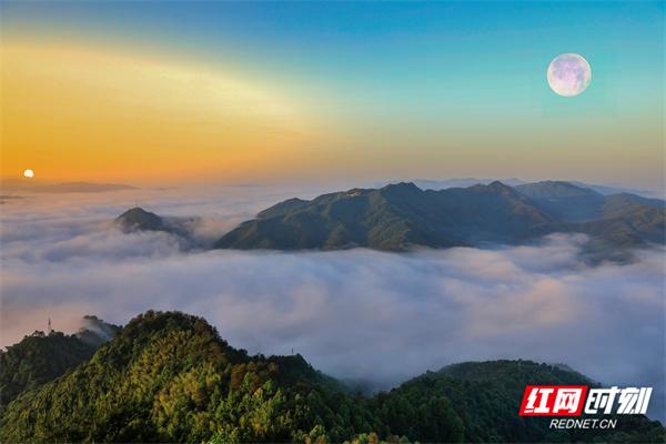 湖南洪江区：云端之上，定格云海日出的诗意画卷