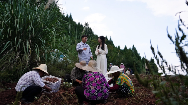 遇见西充，更遇见你！《慕・遇西充》公众号正式上线