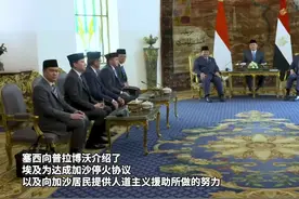 埃及和印尼强调建立独立的巴勒斯坦国是实现地区和平的唯一途径图片