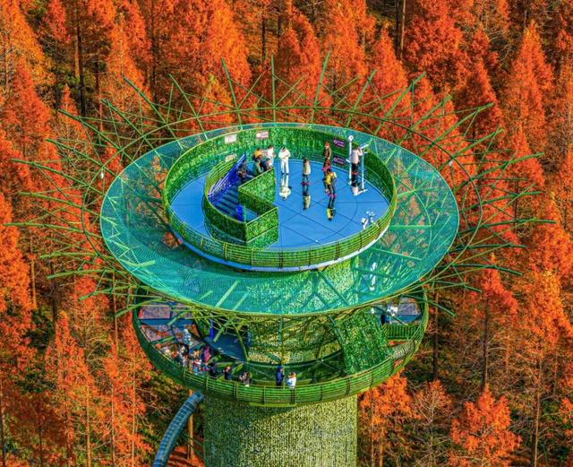 省里又点名了，还是东台