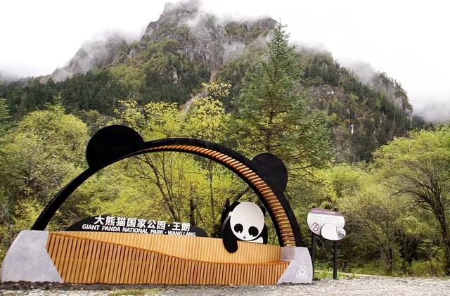 青睐绵阳 ‖ 雪山彩林上线!去平武王朗赴一场金秋视觉盛宴~