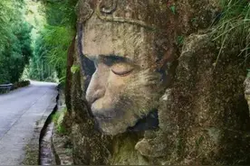 “藏”在黄岩富山乡里的“悟空”火出圈了！ 速去打卡图片