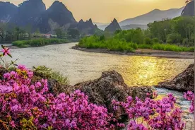 绿野寻芳 春游白山|五一假期，一起回归山野吧图片