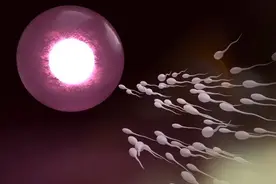 男性一生只有6000次？到底该不该“禁欲”？一文读懂！图片