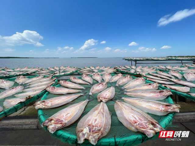 乡行“曼”记丨组图：在湖区生活的日子
