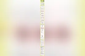 网名能随意取吗？头像应遵循哪些规定？一图了解图片