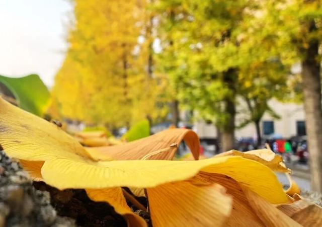 公安，等你入画