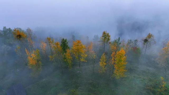 酉阳初冬美景合集：邂逅山间调色盘，每一帧都是壁纸！