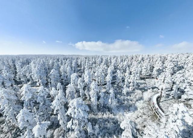 冷空气预警！鹅毛大雪即将突袭瓦屋山！