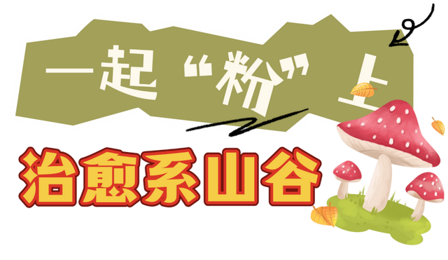 常州，又开始涨“粉”了！