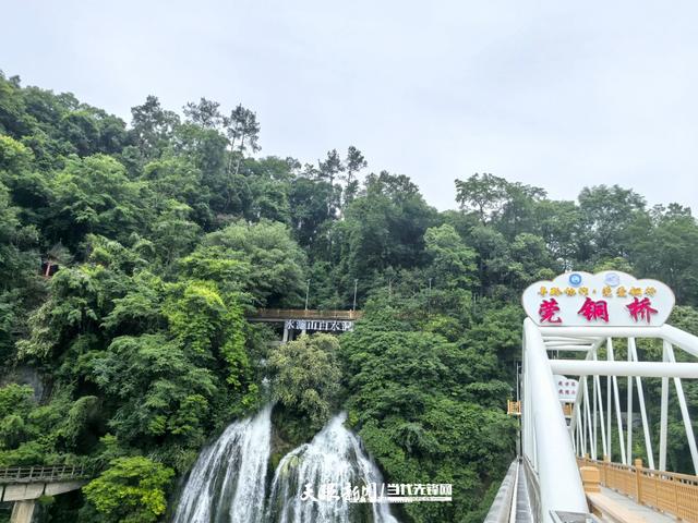 【“十四五”江口答卷】一山一水一叶草 涌动绿色生产力