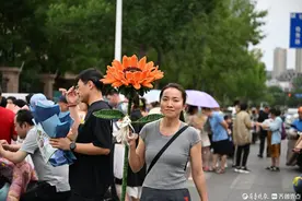 特别的向日葵送给特别的你！图片