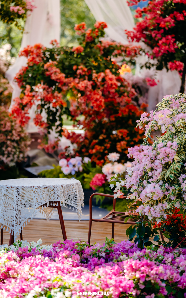 挤爆莲花山！深圳20万m²超大型花展，今天开始