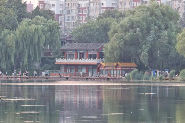 秋高气爽！来什刹海西海湿地公园，邂逅悠闲慢生活