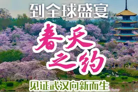 总书记的春天之约｜从一城花事到全球盛宴图片