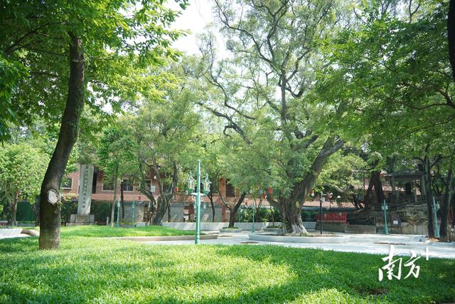 百年中山公园将全新开放，东莞城工集团以匠心守护城市记忆