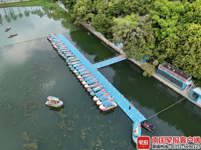 ►南宁南湖公园游船项目重启！负责人回应：不会干扰到鸟类