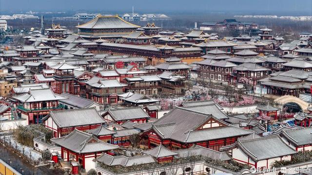 山东乐陵：雪落枣城美如画