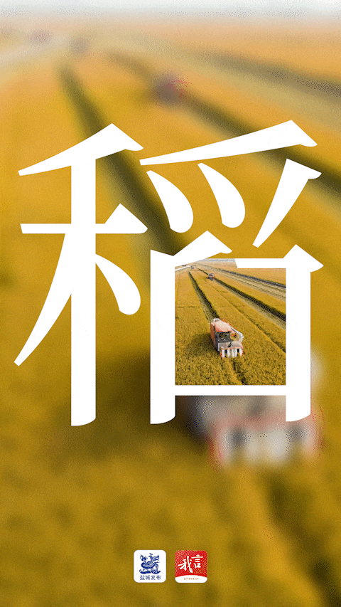 美翻了！大批盐城人出动！