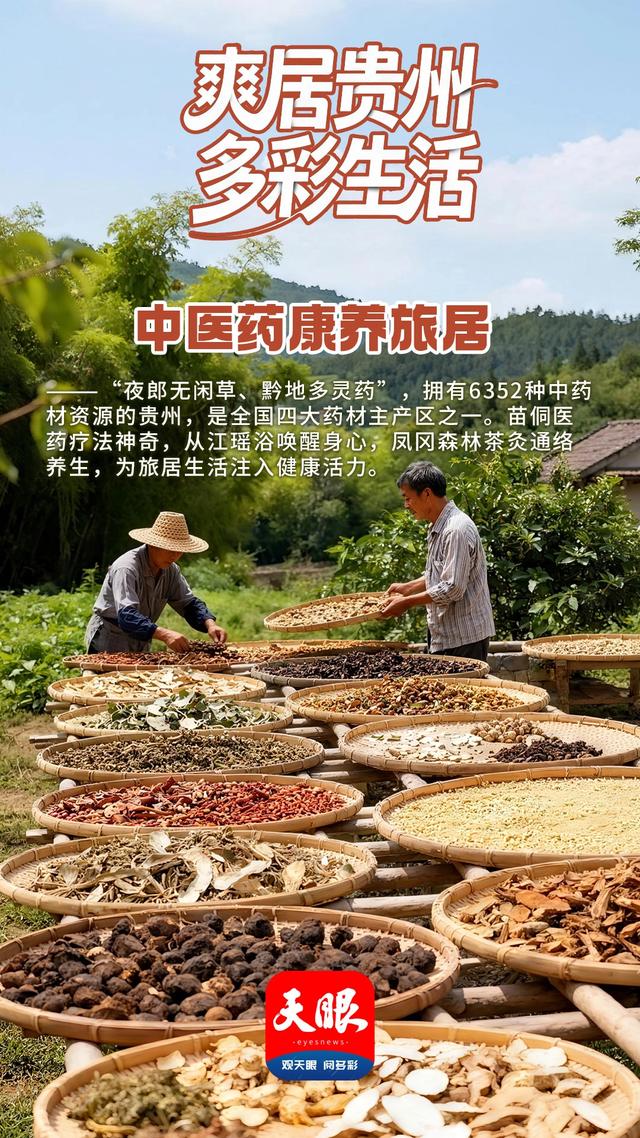 【AI海报】今天，我们邀您“爽居贵州”！