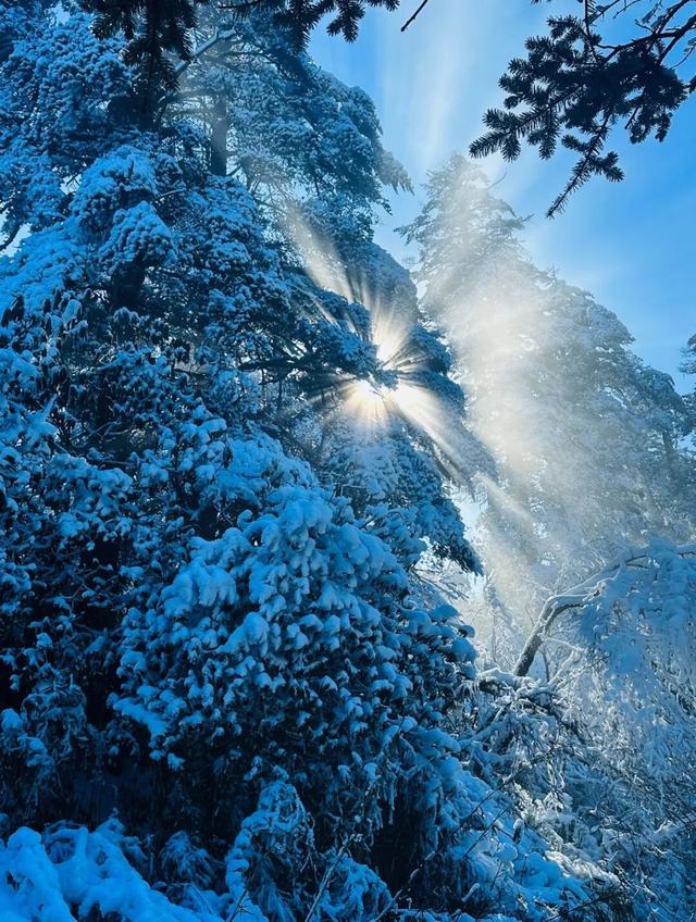 重磅！2025第八届瓦屋山冰雪嘉年华已经开启，即将解锁更多冬日新玩法！