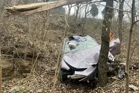 小米SU7滚坠山崖，一家四口安然无恙图片