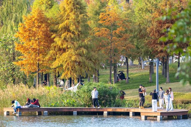 暖阳伴鸥舞 东安湖畔享周末好时光