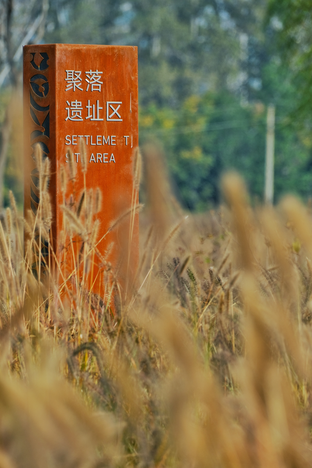 穿越7000年，赴一场星空下的约会！大河村遗址公园开园抢先看