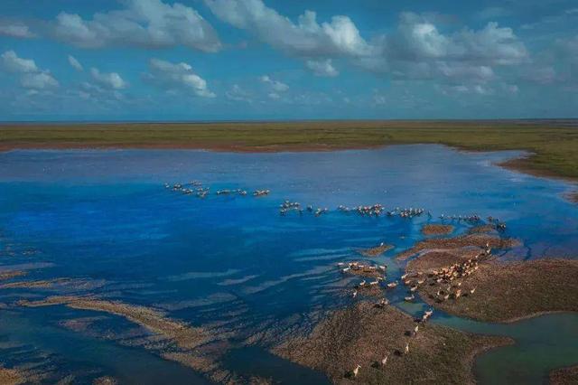 组图|黄海1号，331公里的秋日画廊