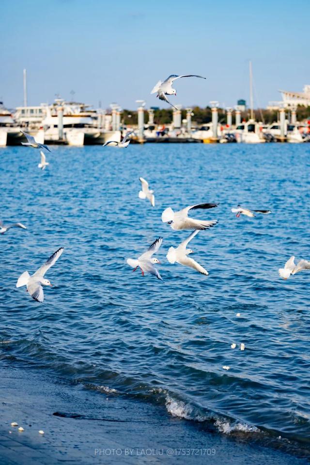 听说，冬天来日照大家都干这件事……