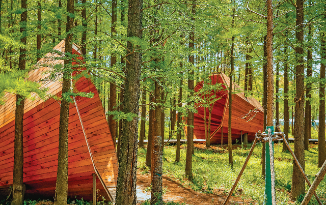 郊野有多“野”？丨闵行情