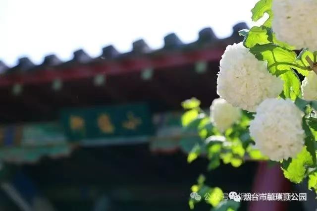 烟台高校萌新请查收！解锁学校周边隐藏副本，周末约起！