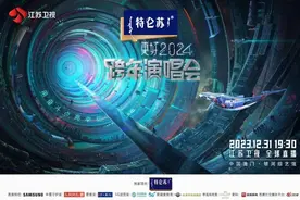 新华日报：江苏卫视跨年演唱会唱响“奋斗”主题 奔赴“更好2024”图片