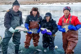 订单“泉水鱼” 壮大村集体经济图片