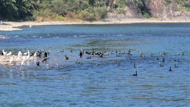 秋日龙虎山，辽宁老铁乐游仙境！