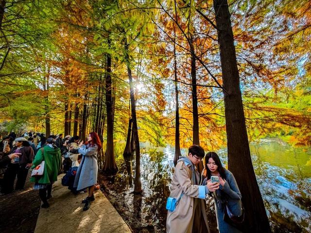 啥情况？“今天的南京，感觉有一亿人”