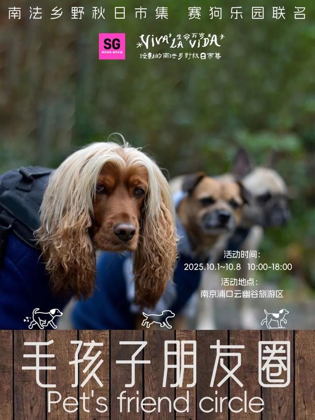 南法乡野秋日市集即将启幕