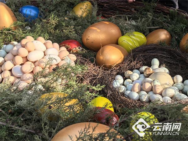 来云南野生动物园找新年“彩蛋”啦！