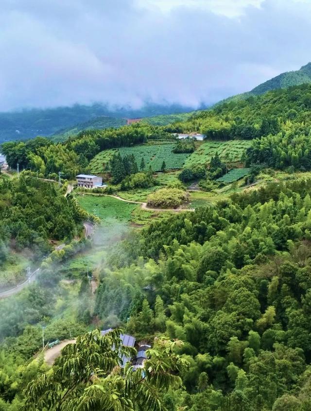 假期来梧溪村，邂逅向往的生活