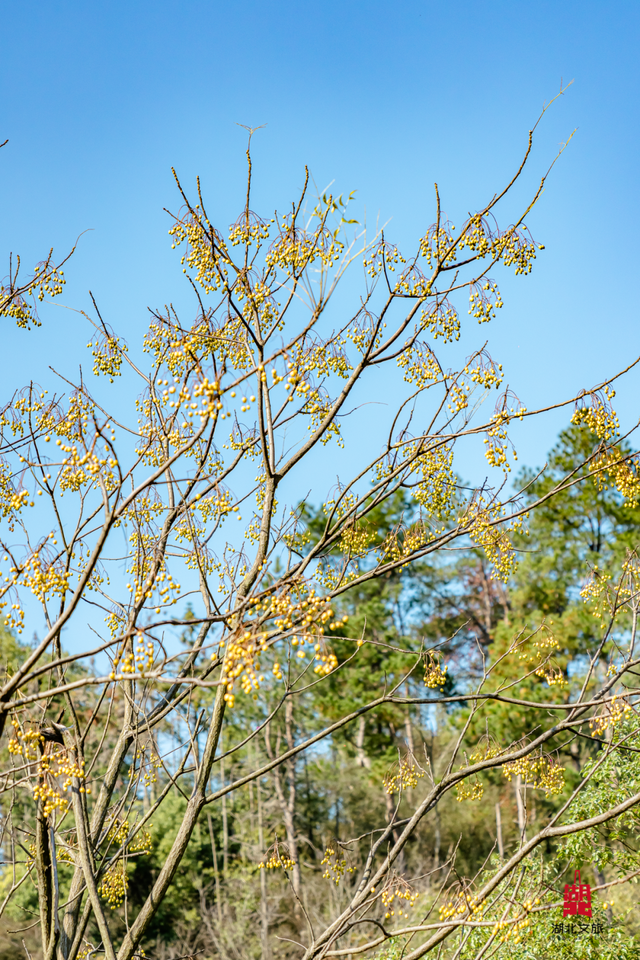 抓住晴天尾巴，徒步青龙山！