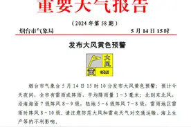 烟台发布大风黄色预警！预计14日夜间，全市有雷雨或阵雨图片