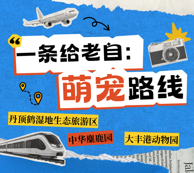 新年游玩线路：老自一条，老己一条，自己一条