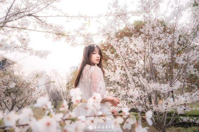 @25级萌新，在海大，你要做的25件事！