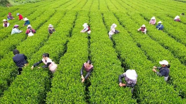 约好国庆游陕西丨陕南山水藏秋意 果香四溢等您来