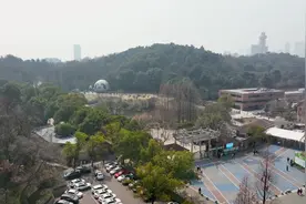 江苏南京：喜得贵子一次抱六娃，红山水獭一家八口闪亮登场图片